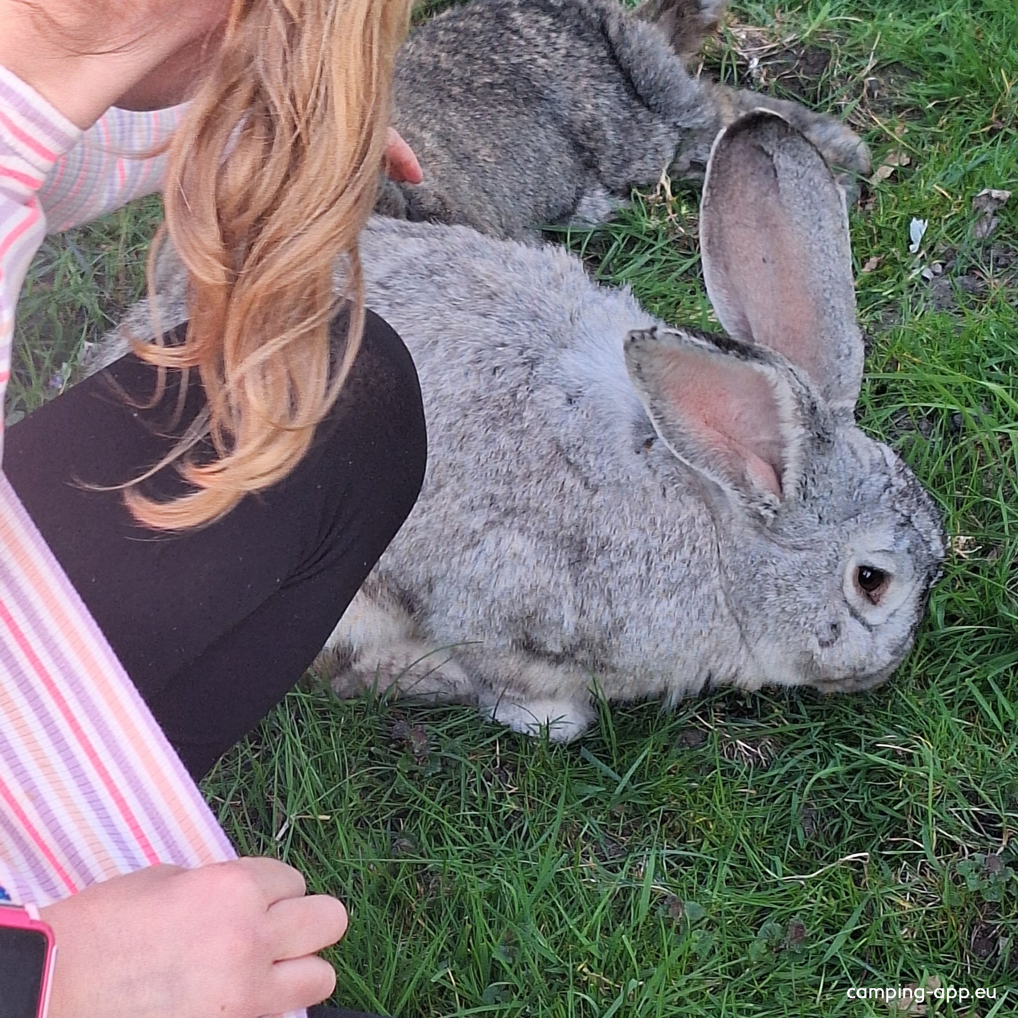 Camping Luna — Photo 5