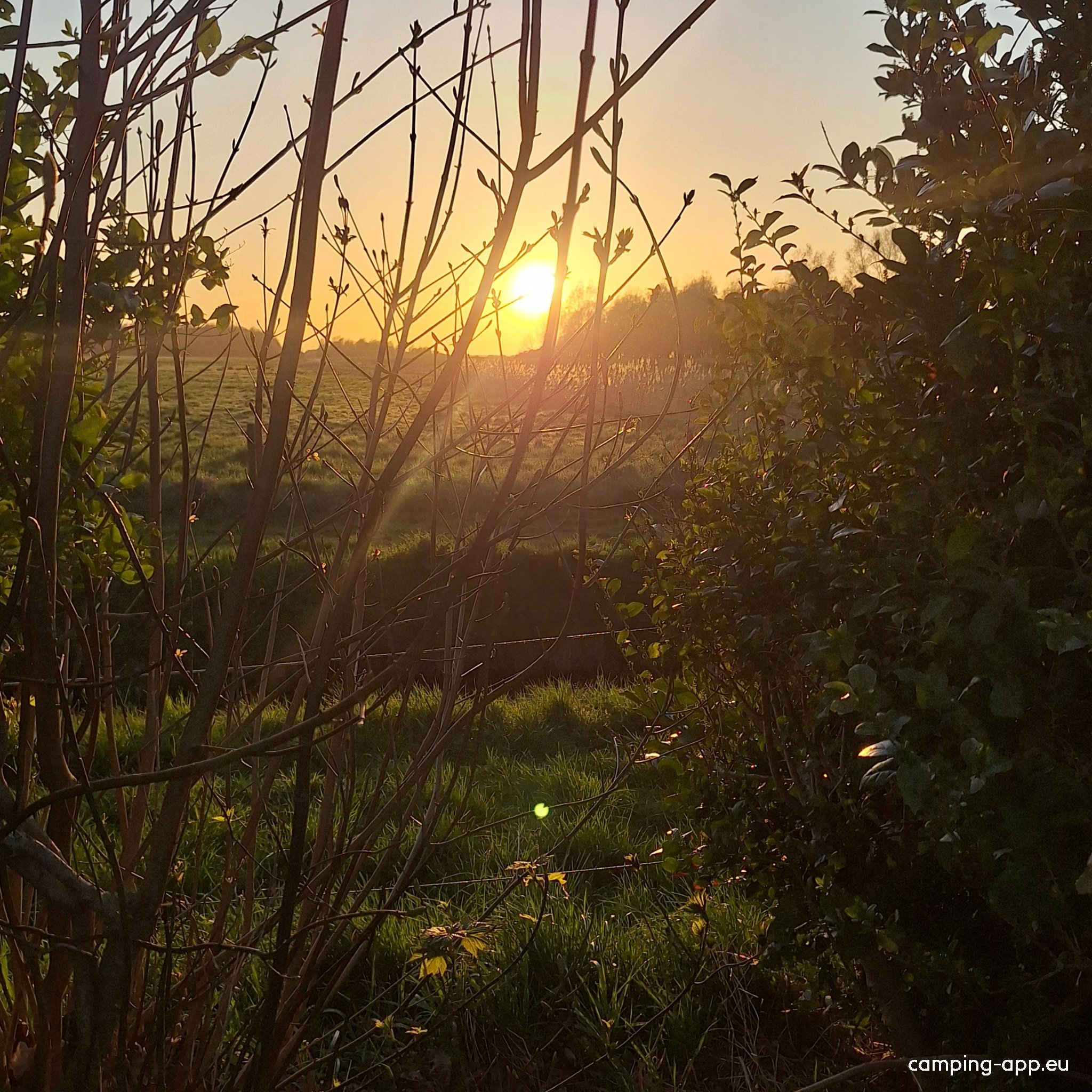 Camping Luna — Photo 6