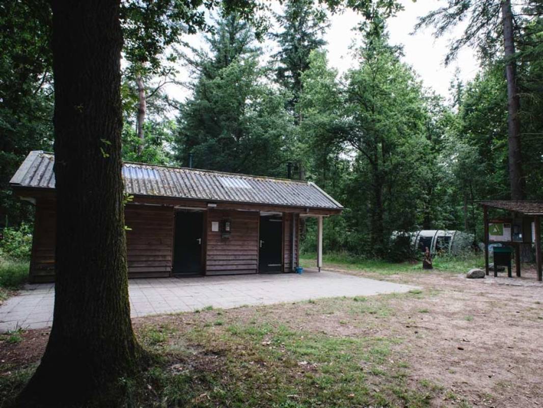 Natuurkampeerterrein De Dennen