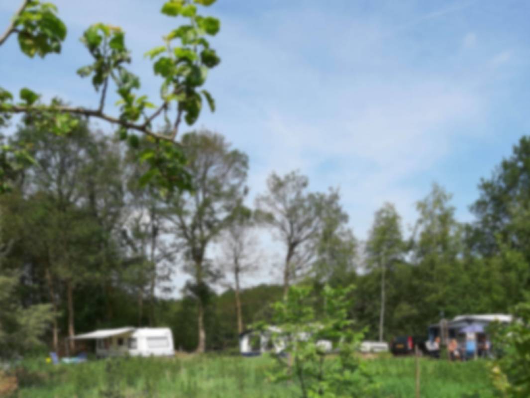 De Bulte Mini Camping