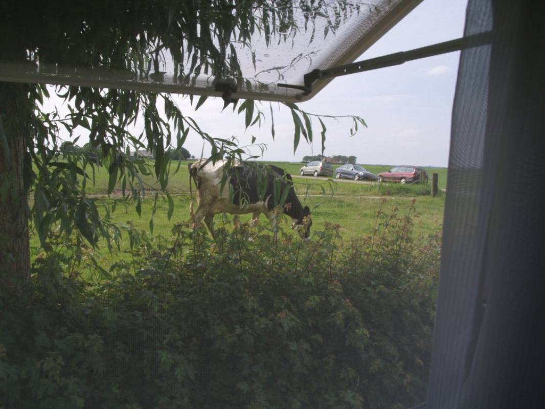 Minicamping de Paardeboer