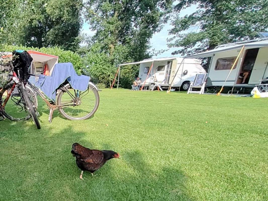 Camping De Eikenzoom — Campsite in Anerveen