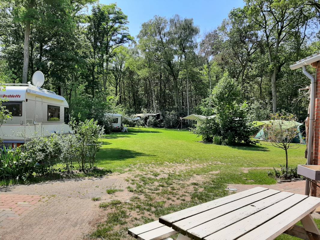 Minicamping De Hippe Kip