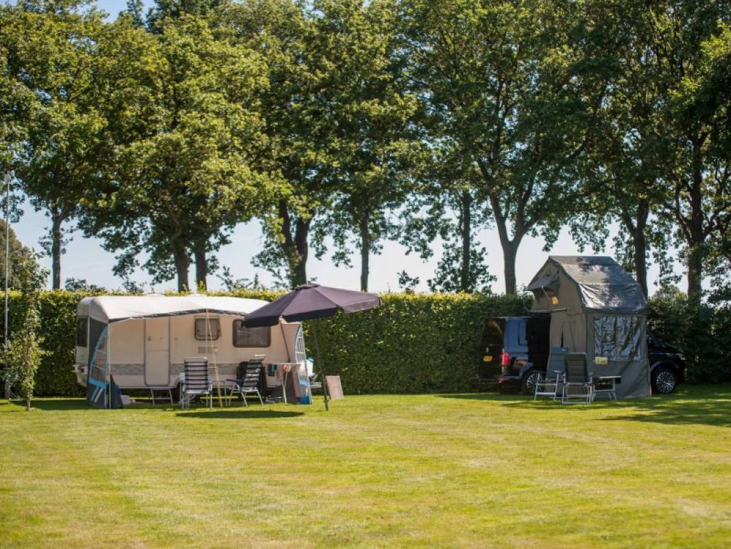 Mini Camping Haarsterveld — Campsite in Marum