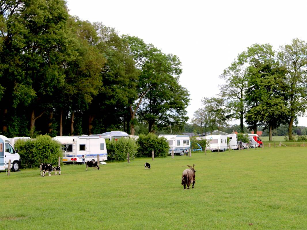 Boerencamping Erve-Bekhuis — Campsite in Tilligte