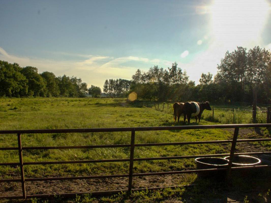 Boerderij Liebe Minicamping