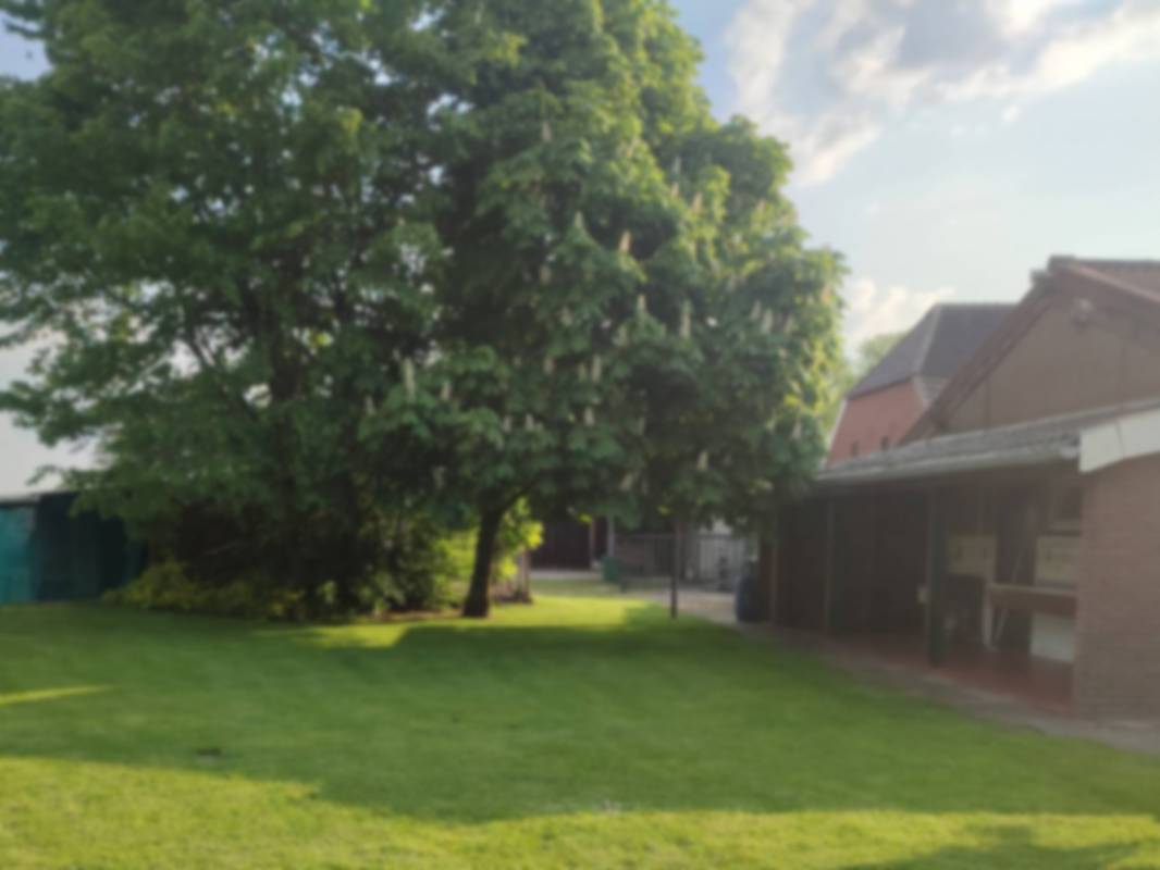 Minicamping Kolderweide — Photo 3