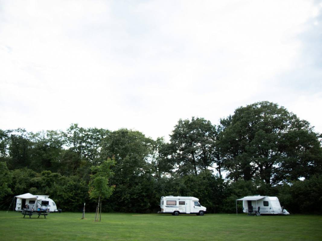 Camping de Dam — Photo 3