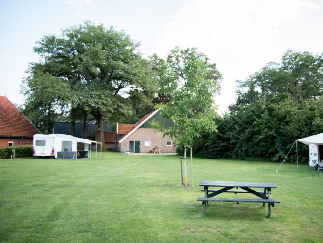 Camping de Dam — Photo 2