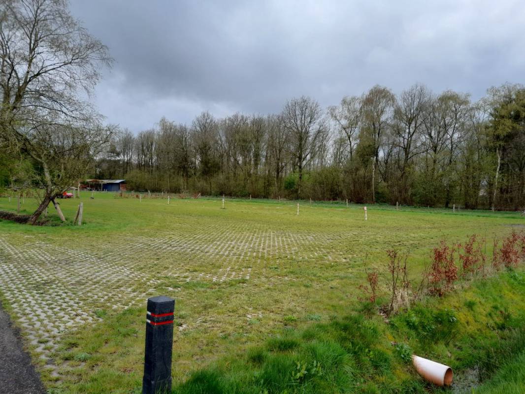 Camping Aan De Bosrand