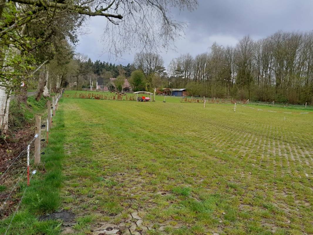 Camping Aan De Bosrand — Photo 2