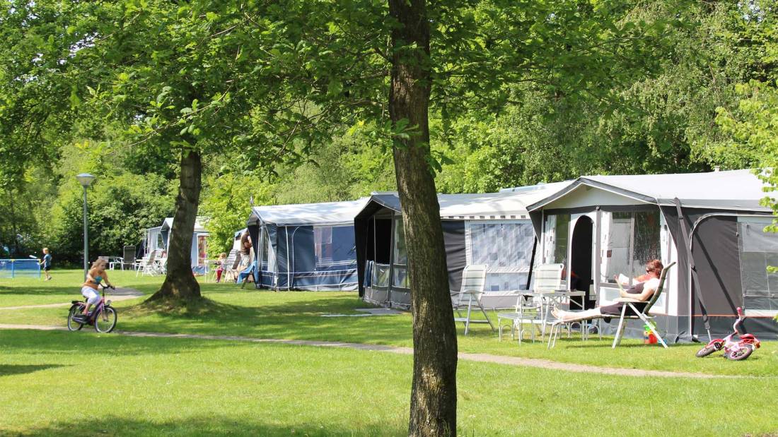 Molecaten Park 't Hout — Campsite in Bakkeveen