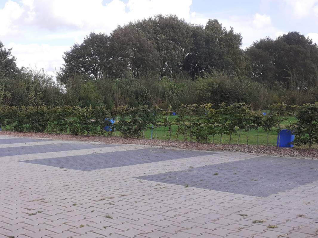 Camping Holmhoeve — Photo 2