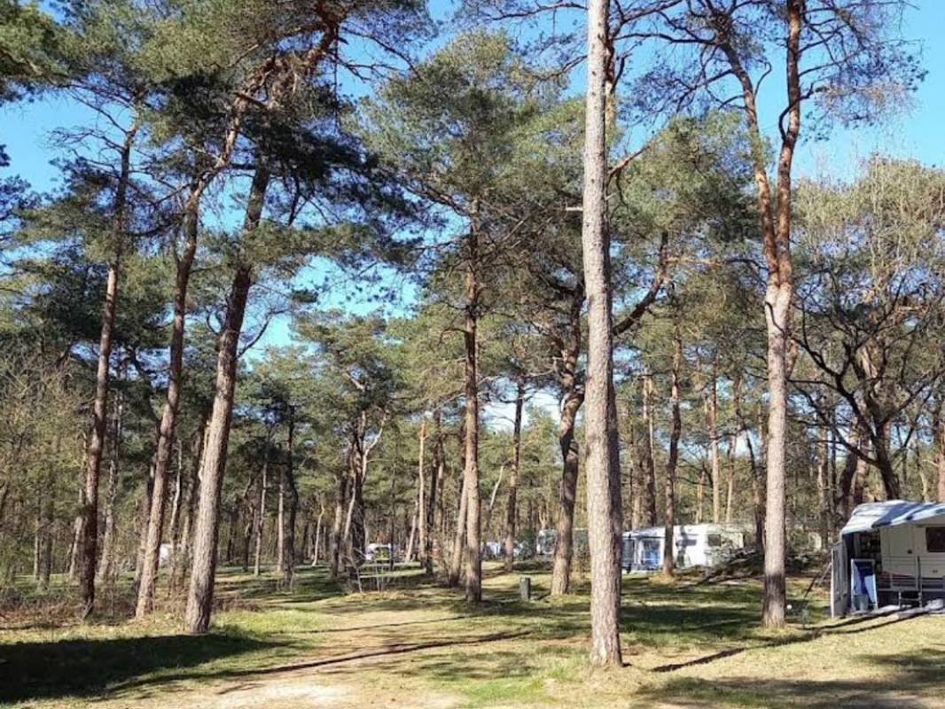 Bospark Langeloerduinen Nord — Photo 2