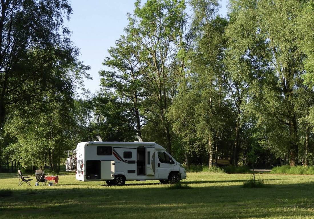 Camping Bos & Pingo