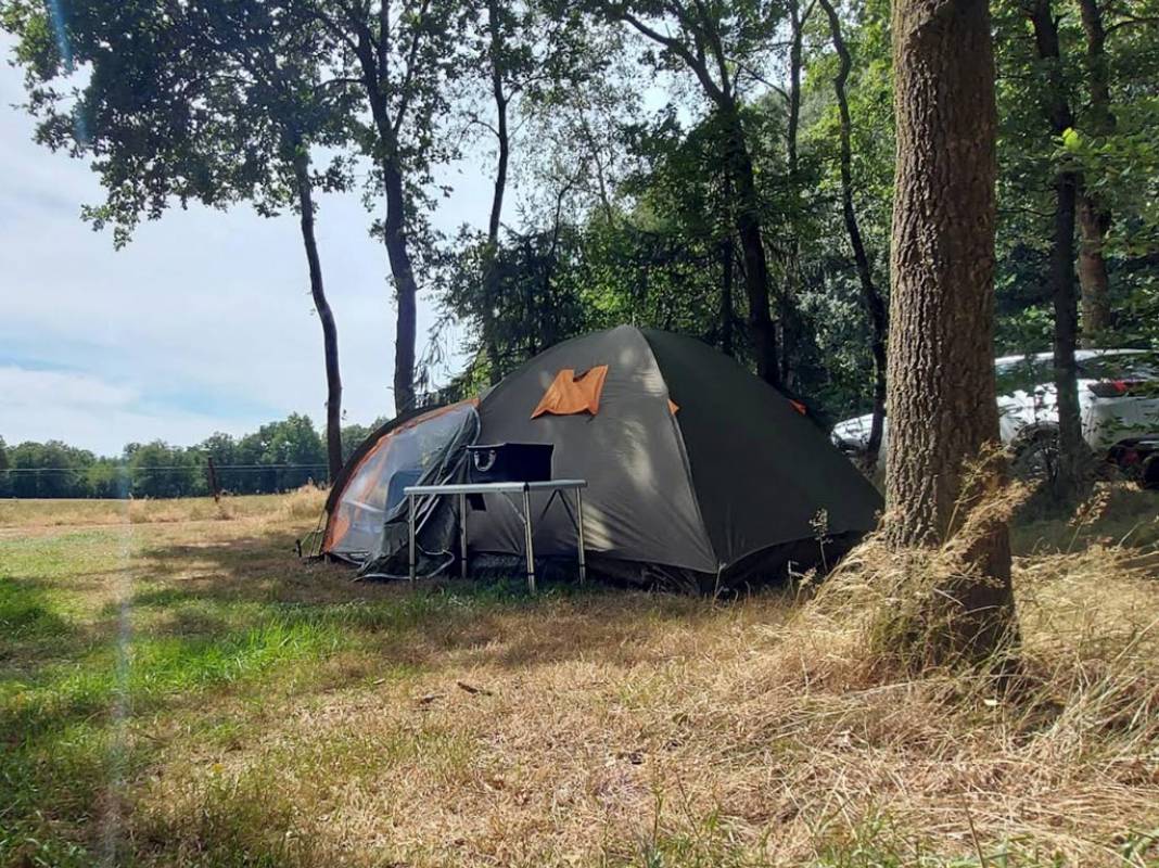 Natuurcamping De Witker — Photo 2