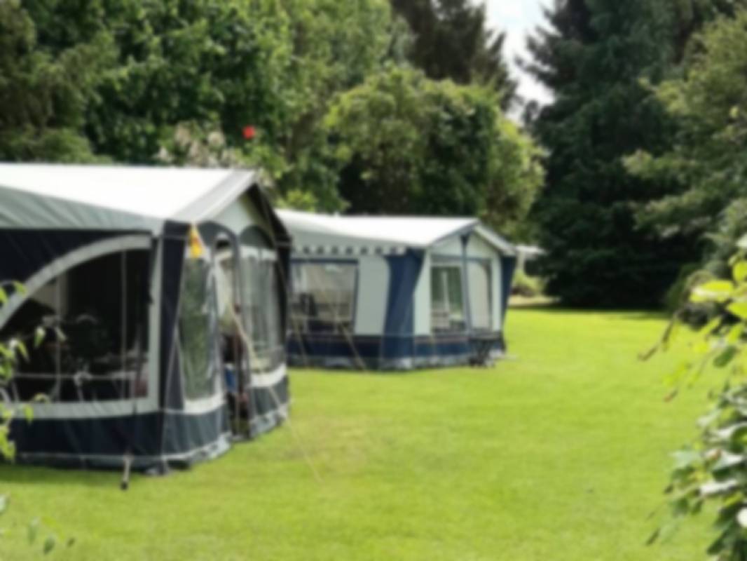 Voedselbos Drenthe — Photo 2