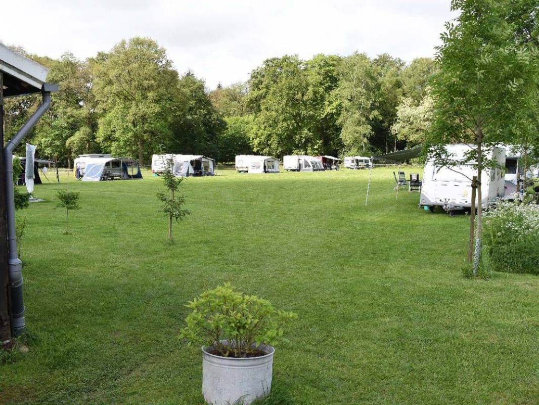 Scharrelhoes Landschapscamping — Campsite in Enschede