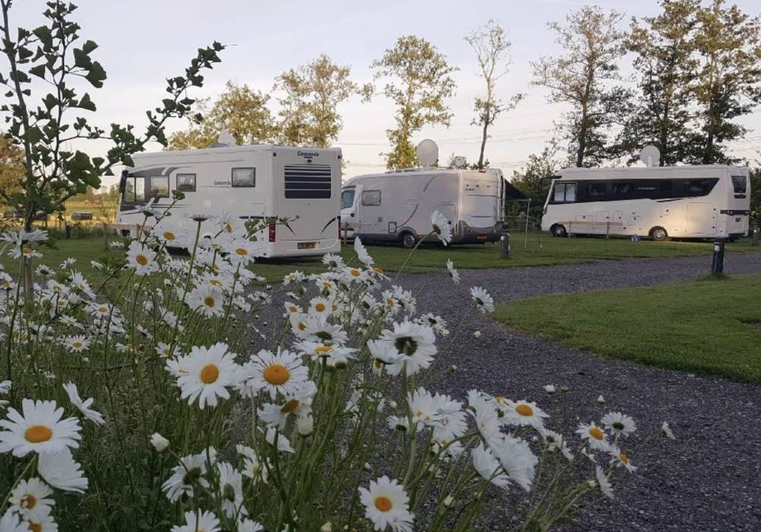 Camperplaats De Kleine Molenpolder Grootegast — Photo 3