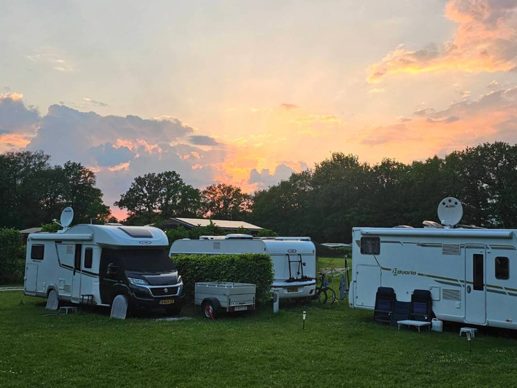 De Mierenhoop (Naturisten Camping) — Kemp in Bunne