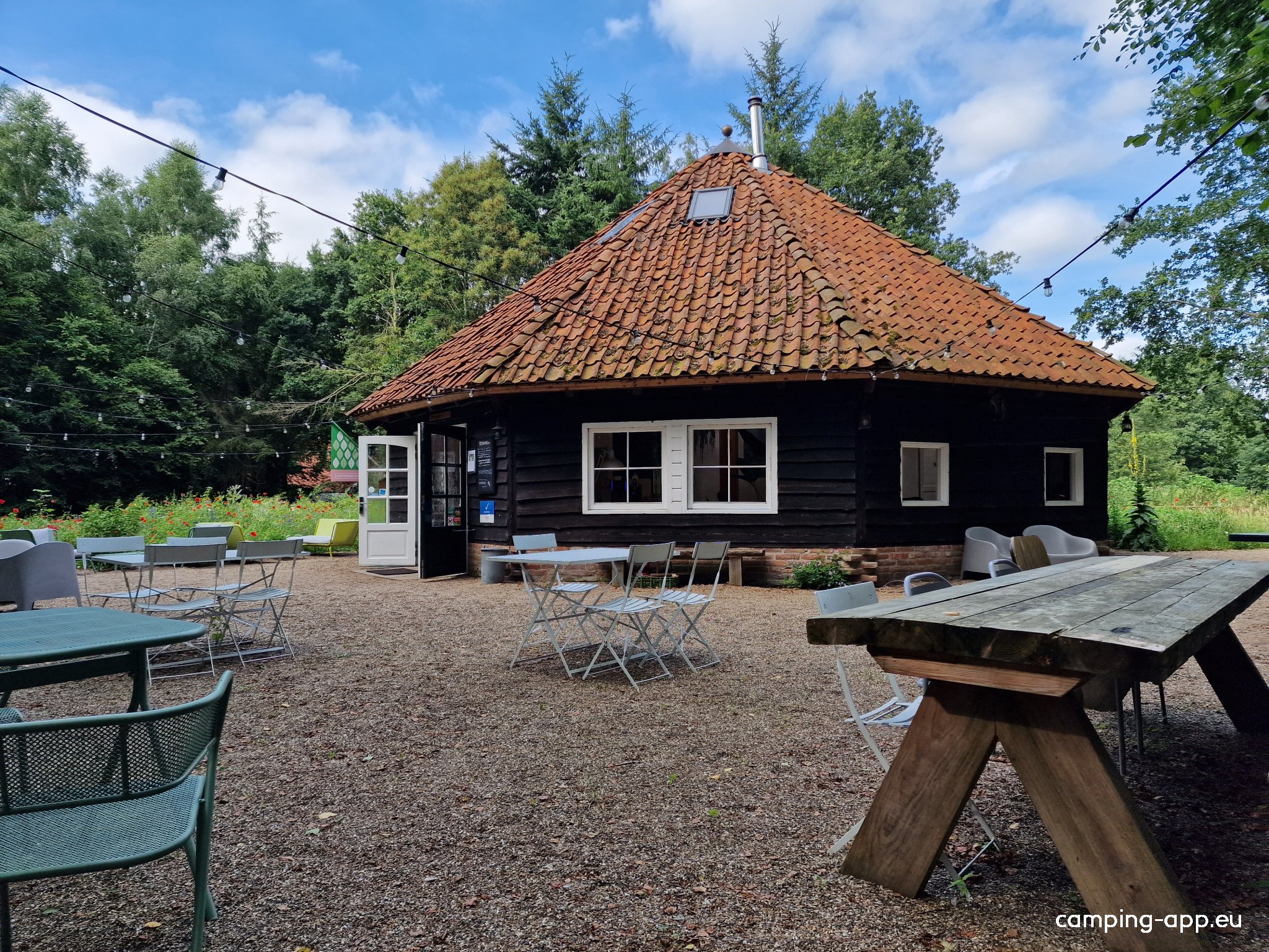 Camping Noorderloo — Photo 4