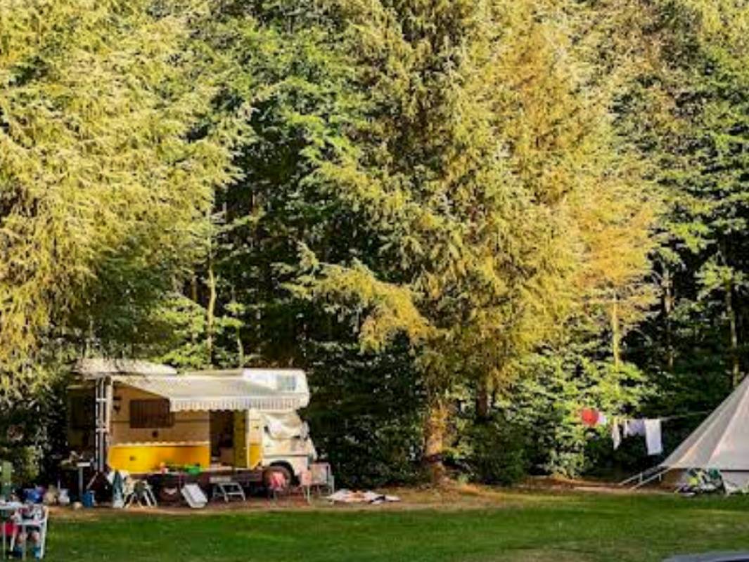 Camping Noorderloo — Campsite in Vriescheloo