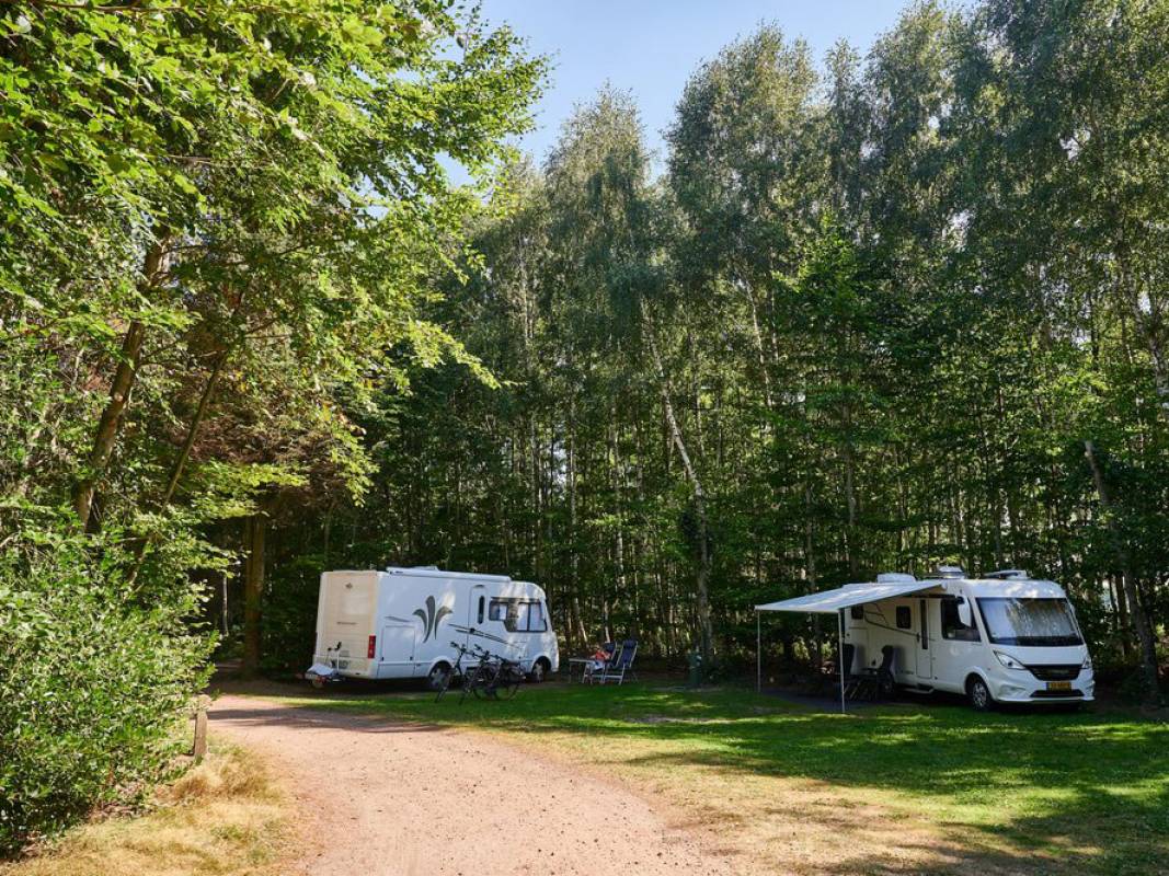 Camping Noorderloo — Photo 3