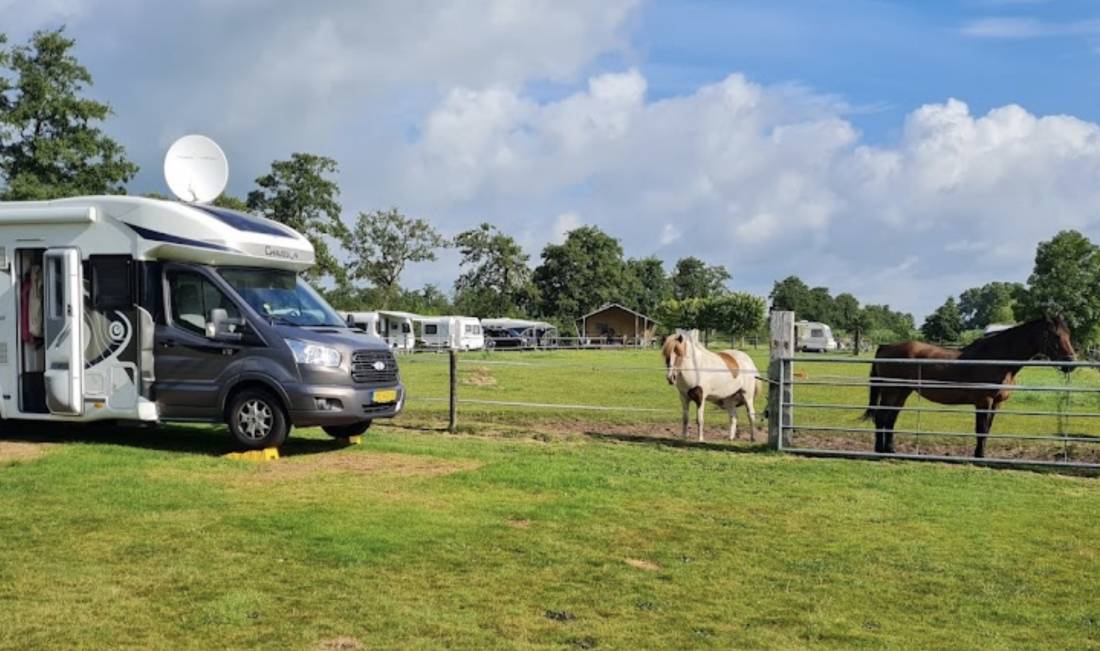 Camping De Stjelp — Photo 3