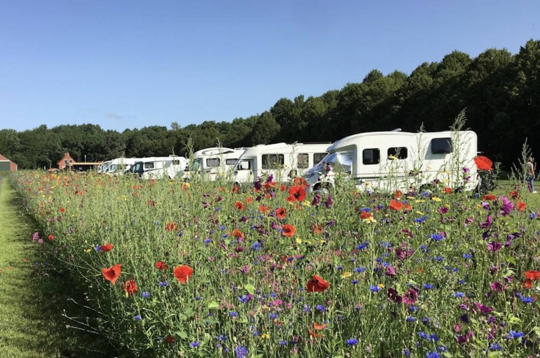 Camperplaats Loosterstee — Photo 3