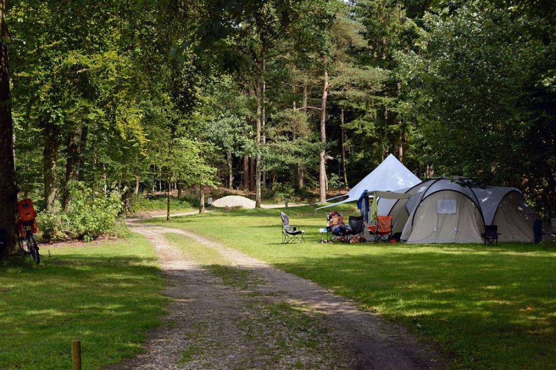 Camping 't Vlintenholt — Photo 3