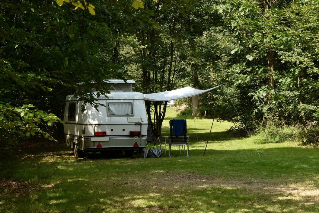 Camping 't Vlintenholt — Photo 2