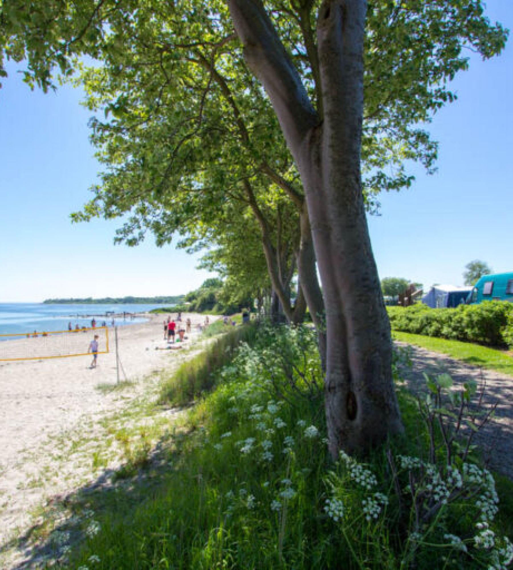 Gammelbro Camping — Photo 3