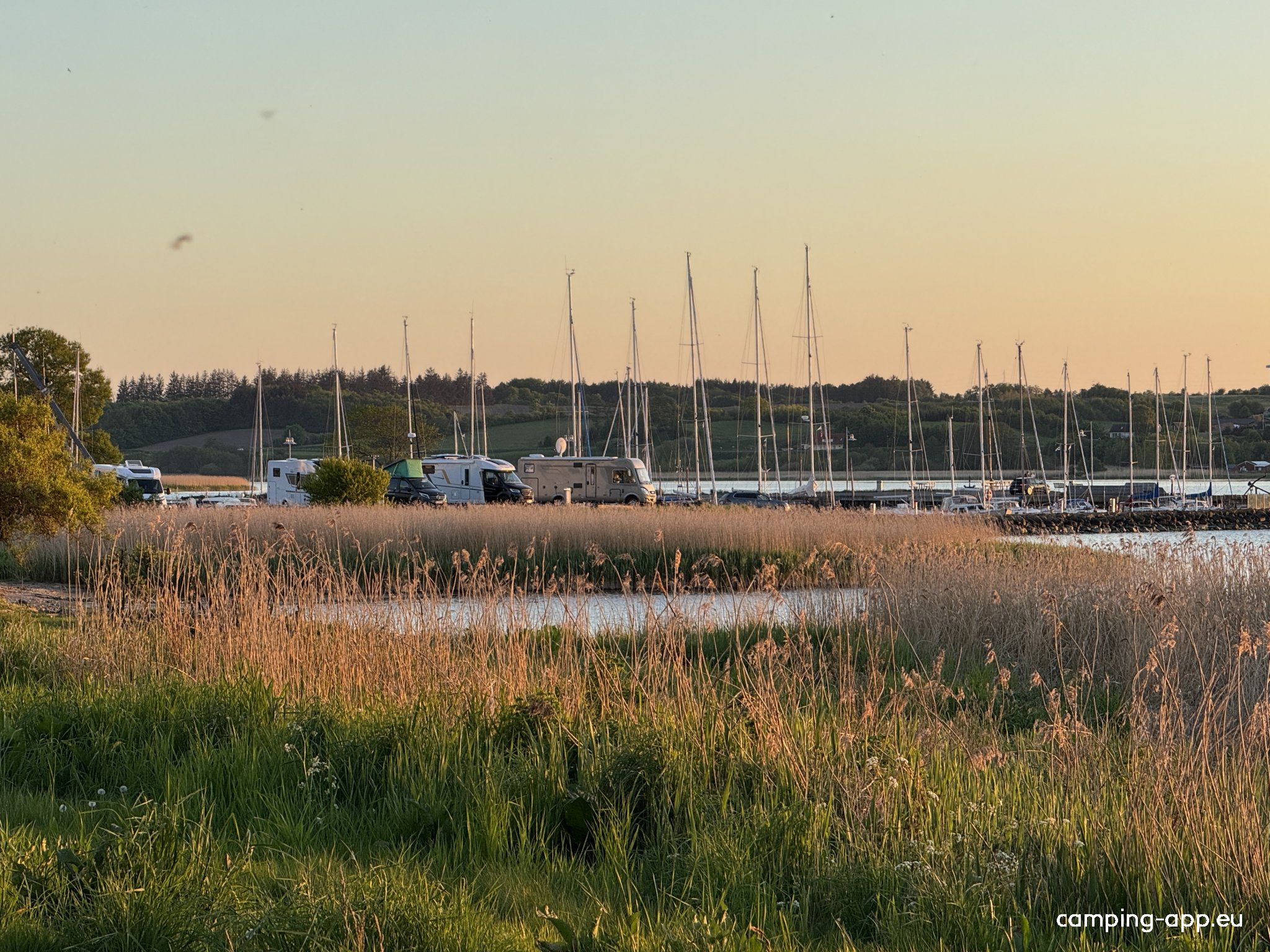 Viborg Sejlklub — Photo 3