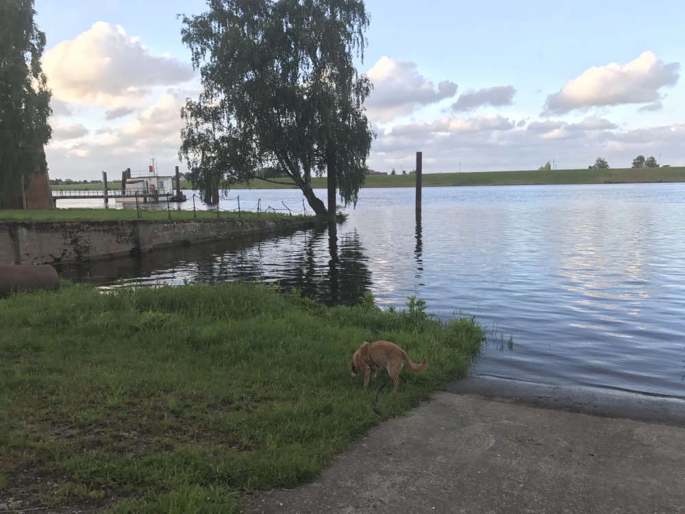 Elbepark Bunthaus — Photo 4