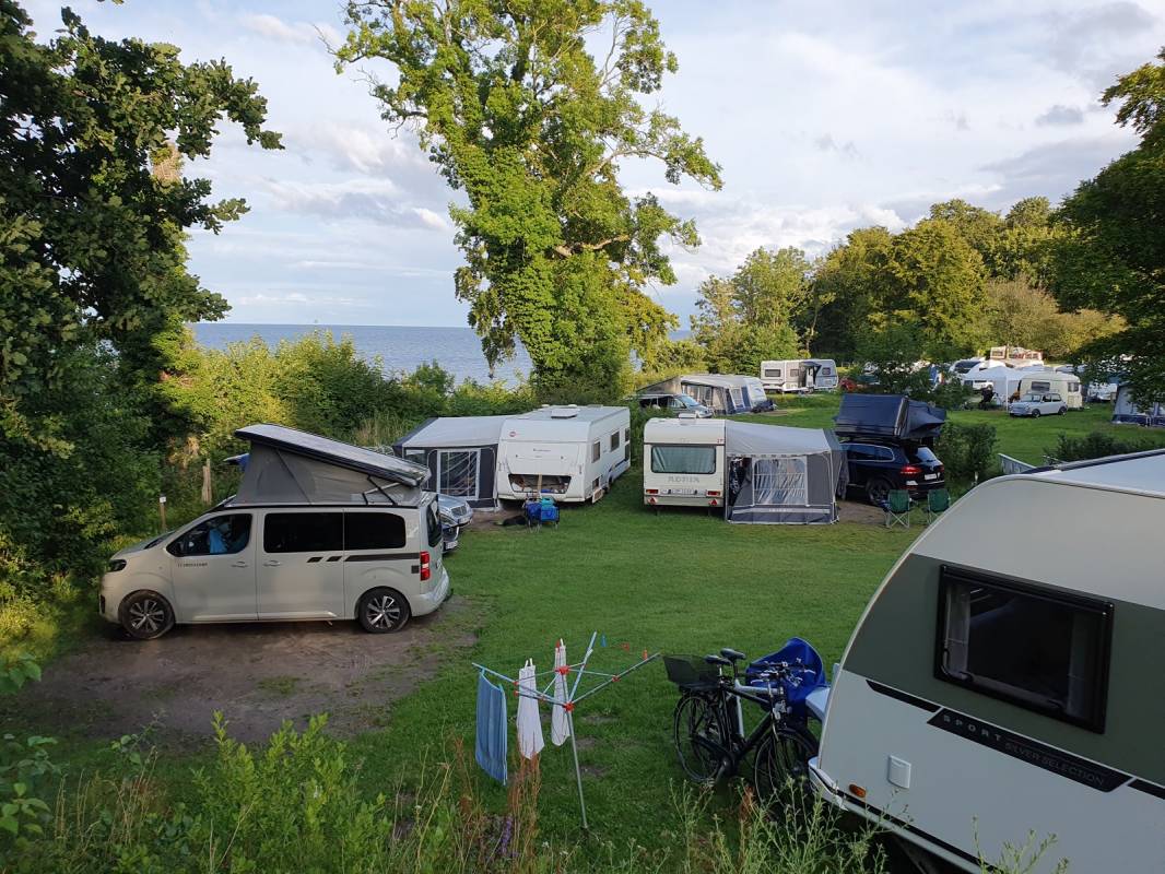 Camping-app.eu: DCU-Camping Aarhus - Blommehaven Aarhus Dänemark