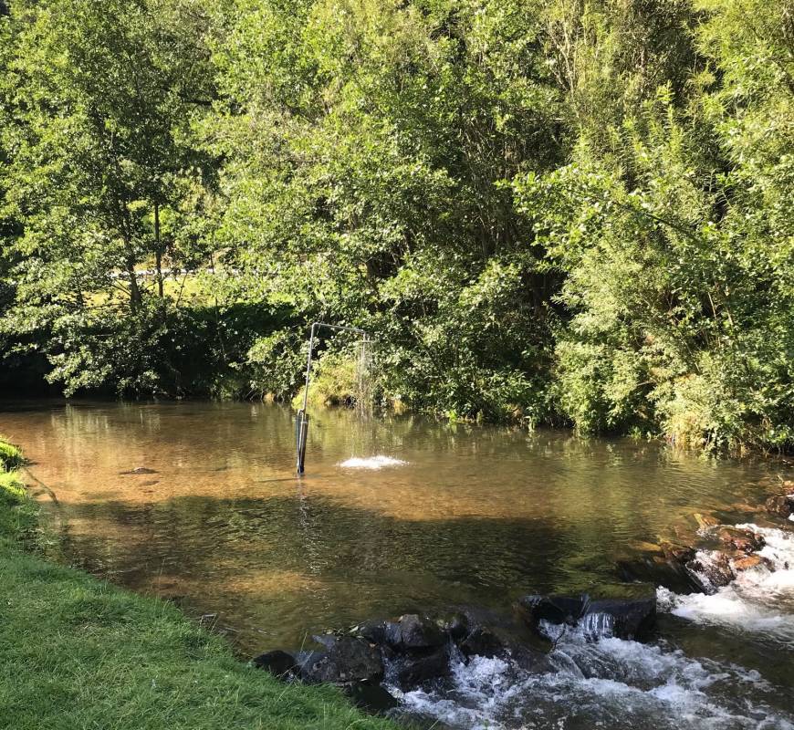 Schwarzwald Camping — Photo 4