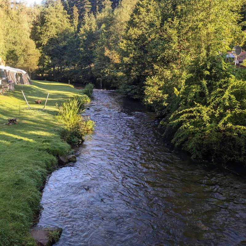 Schwarzwald Camping — Photo 5