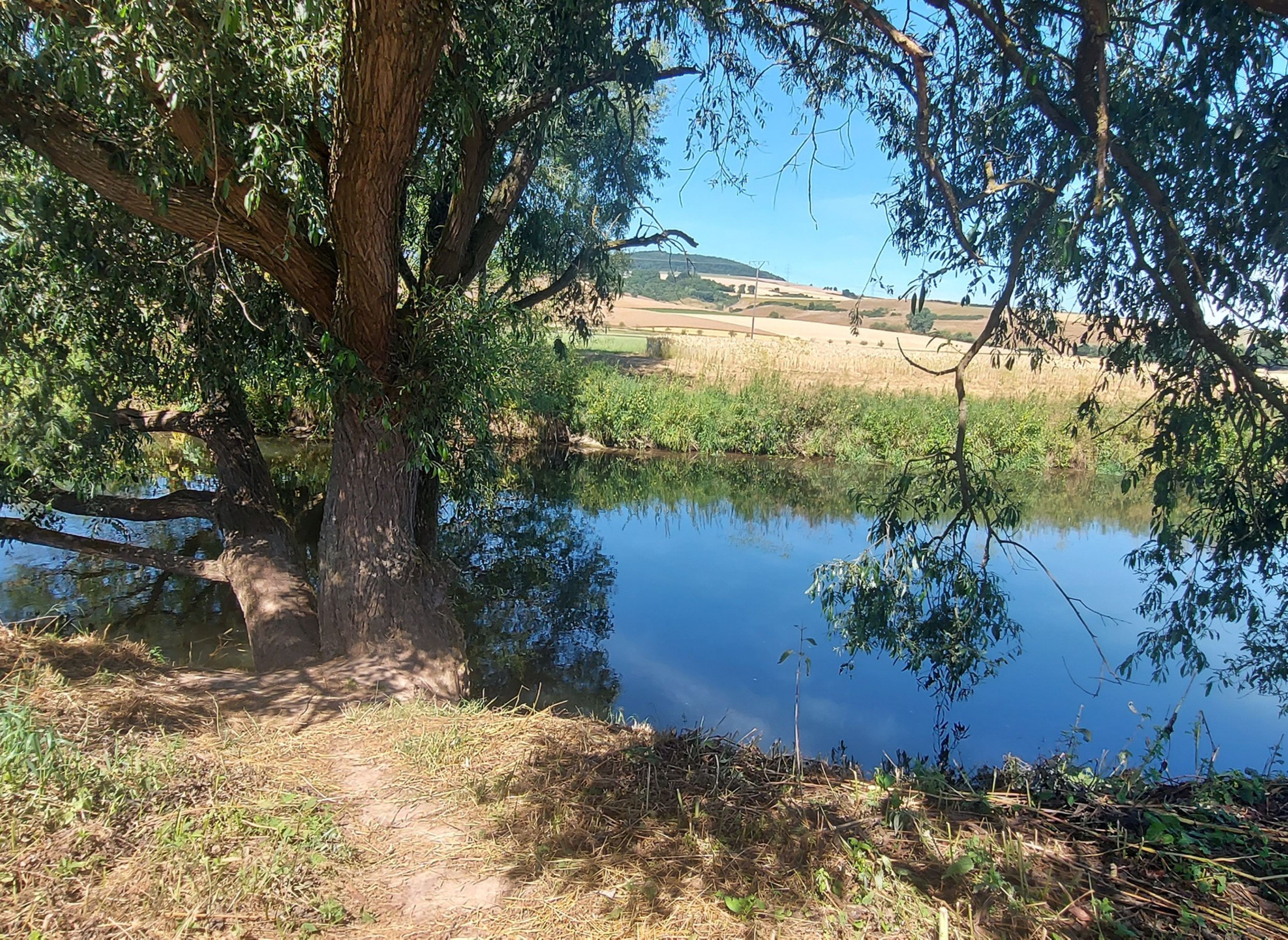 Hofgut Stammen — Photo 3