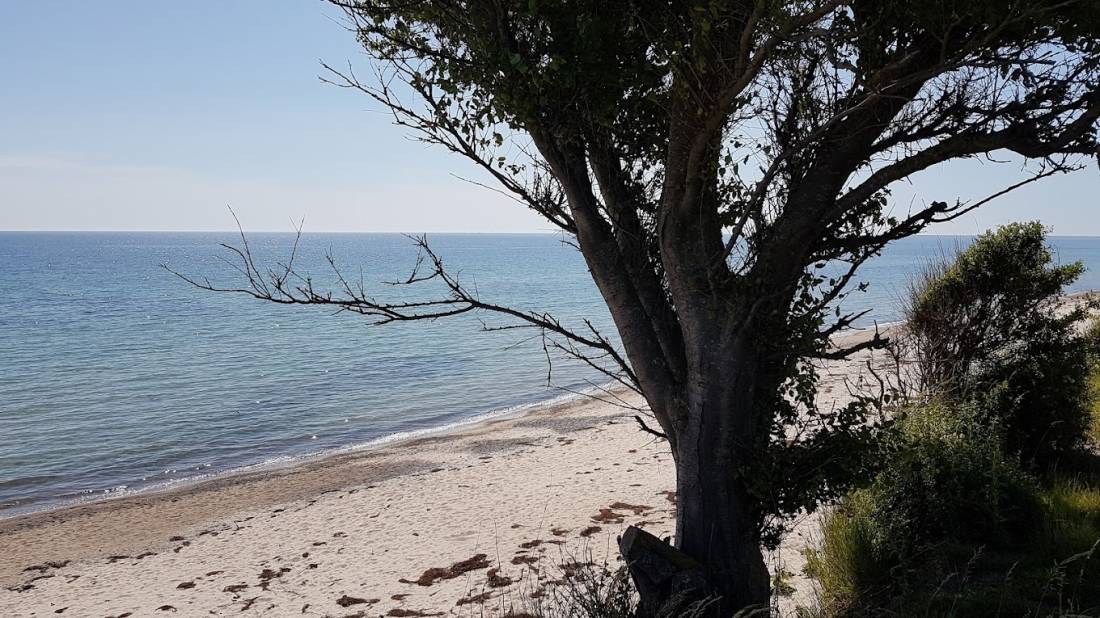 Campingplatz Seepark — Photo 3