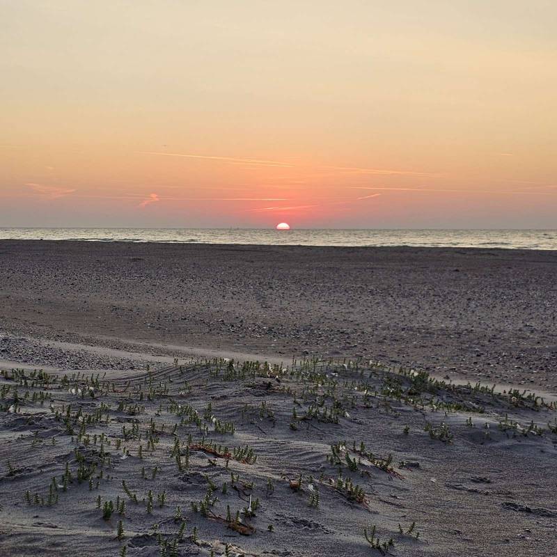 Campingplatz Sonnenland — Photo 5
