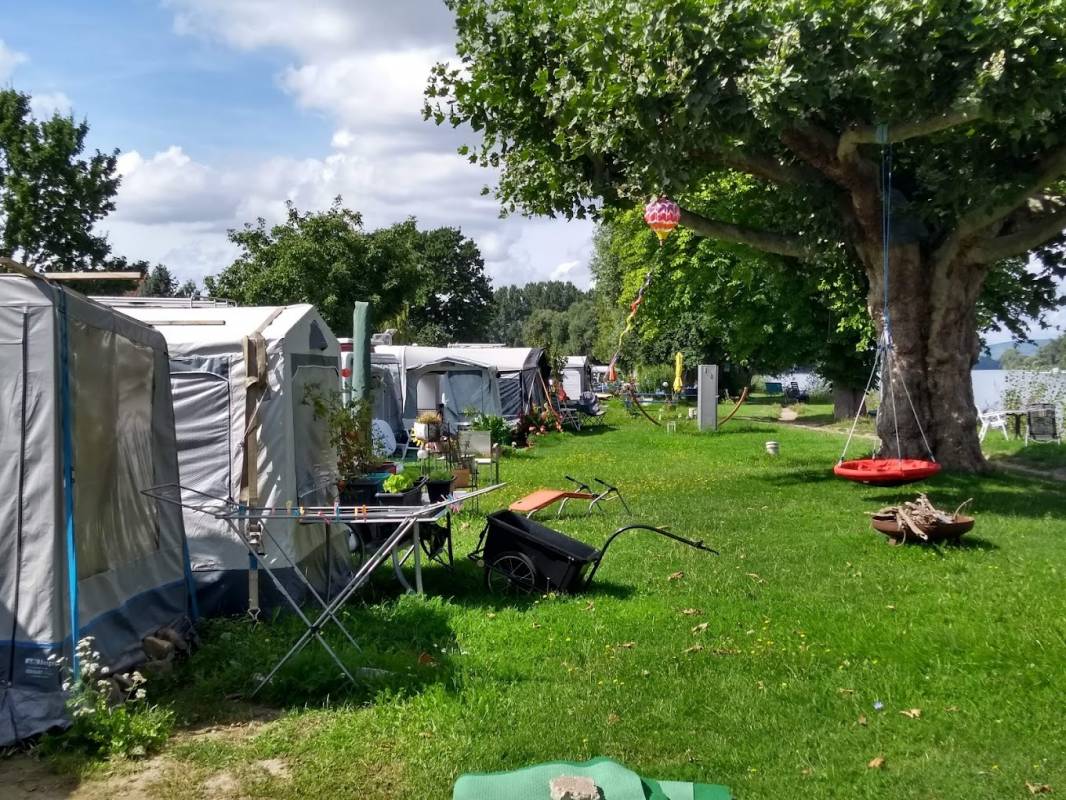 Inselrhein Heidenfahrt Campingplatz, Wein- und Biergarten — Photo 3
