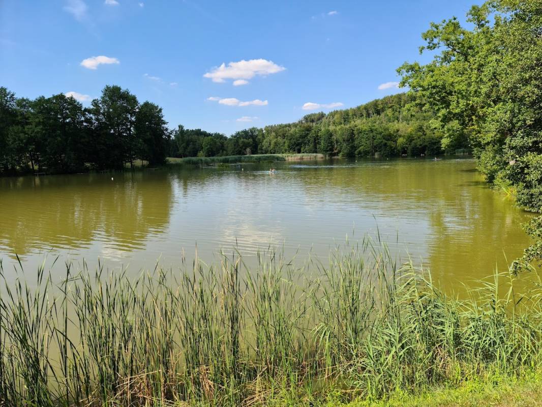 Campingplatz Neumühlsee