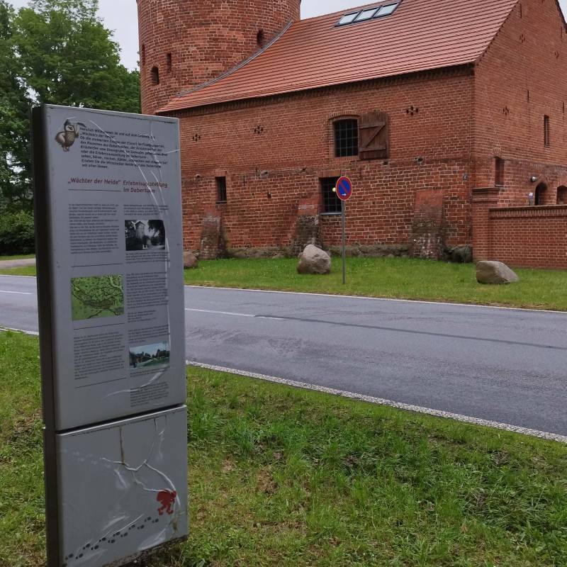 Stellplatz am Daberturm — Photo 5