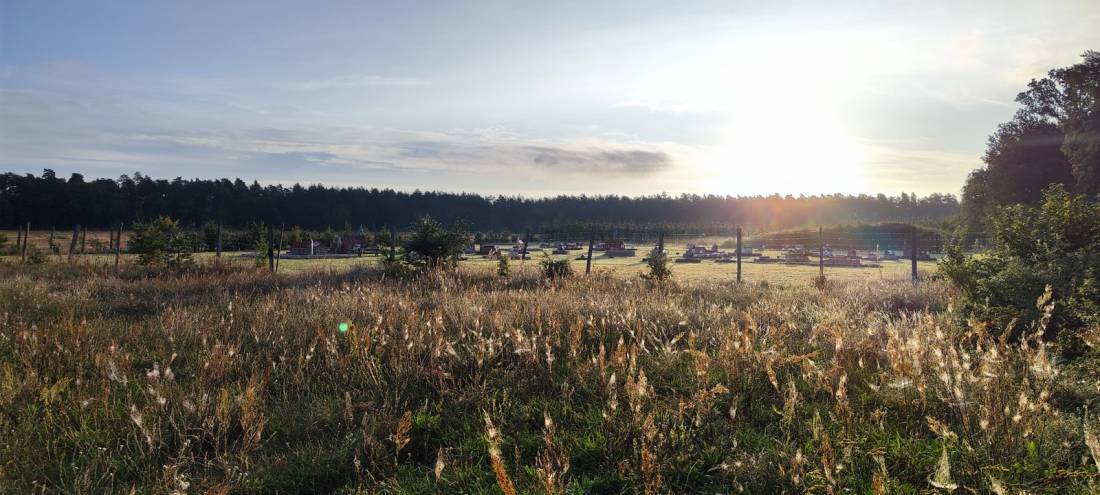 Stellplatz am Daberturm