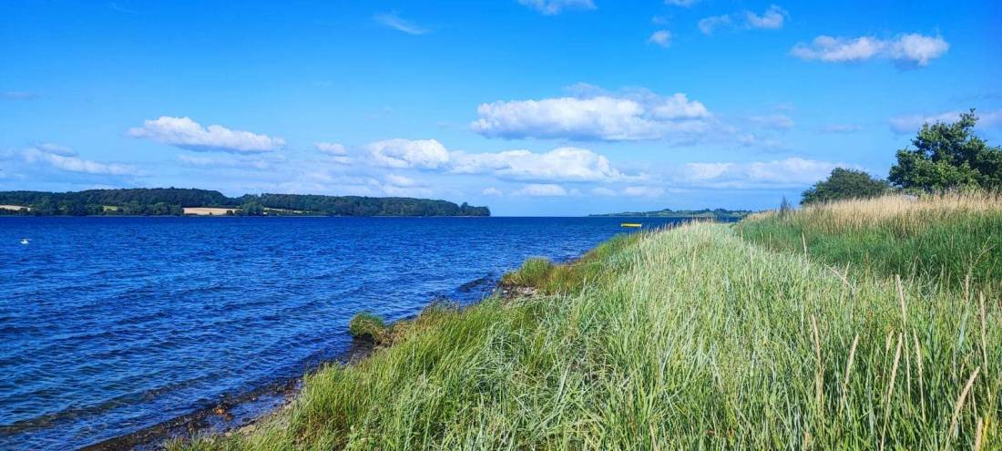 Sandskaer Strandcamping — Photo 5