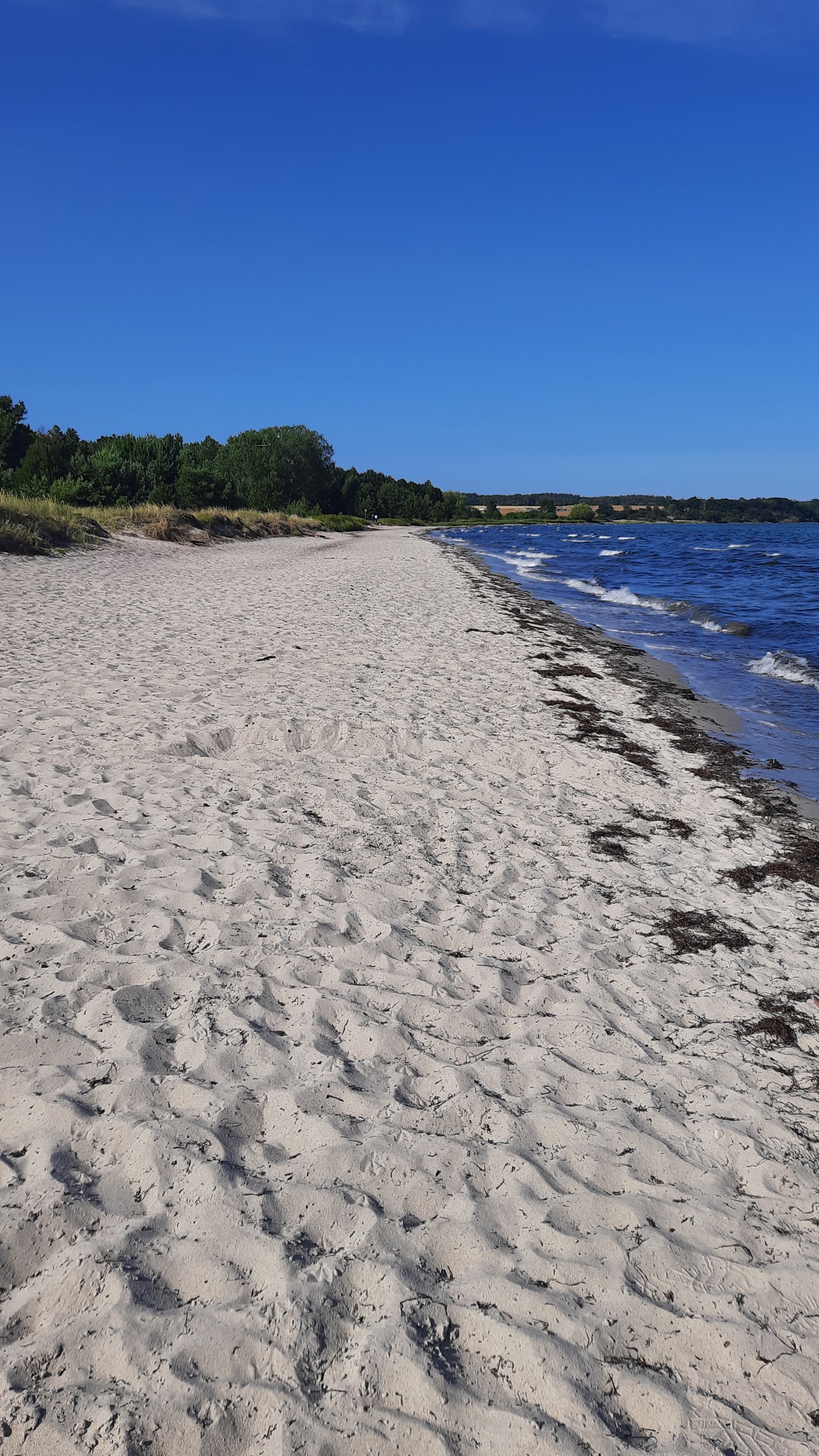 Feddet Strand Camping & Holiday Park — Photo 3