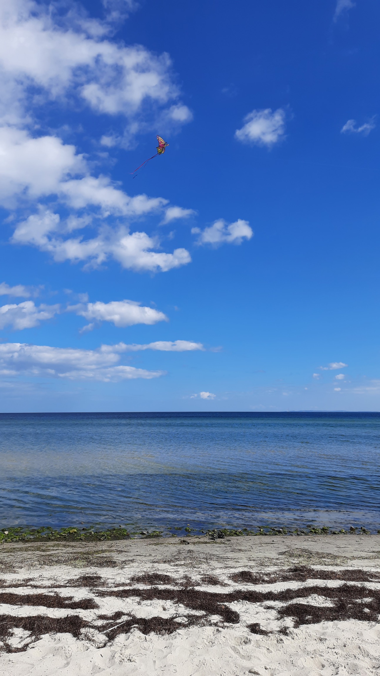 Feddet Strand Camping & Holiday Park — Photo 2