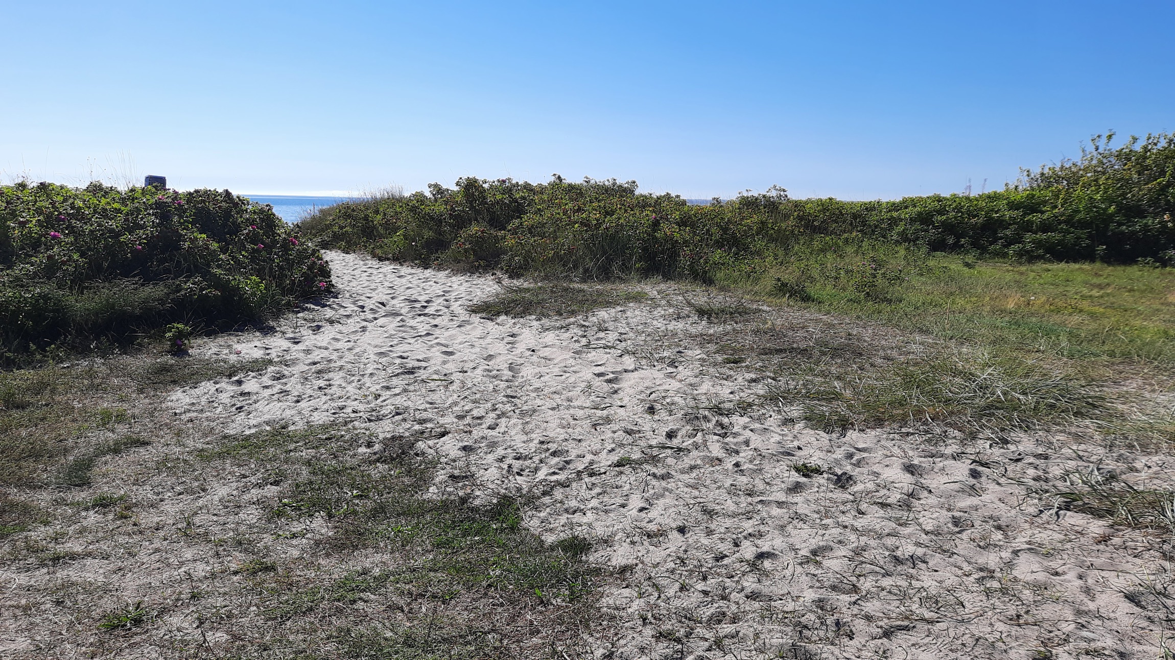 Feddet Strand Camping & Holiday Park