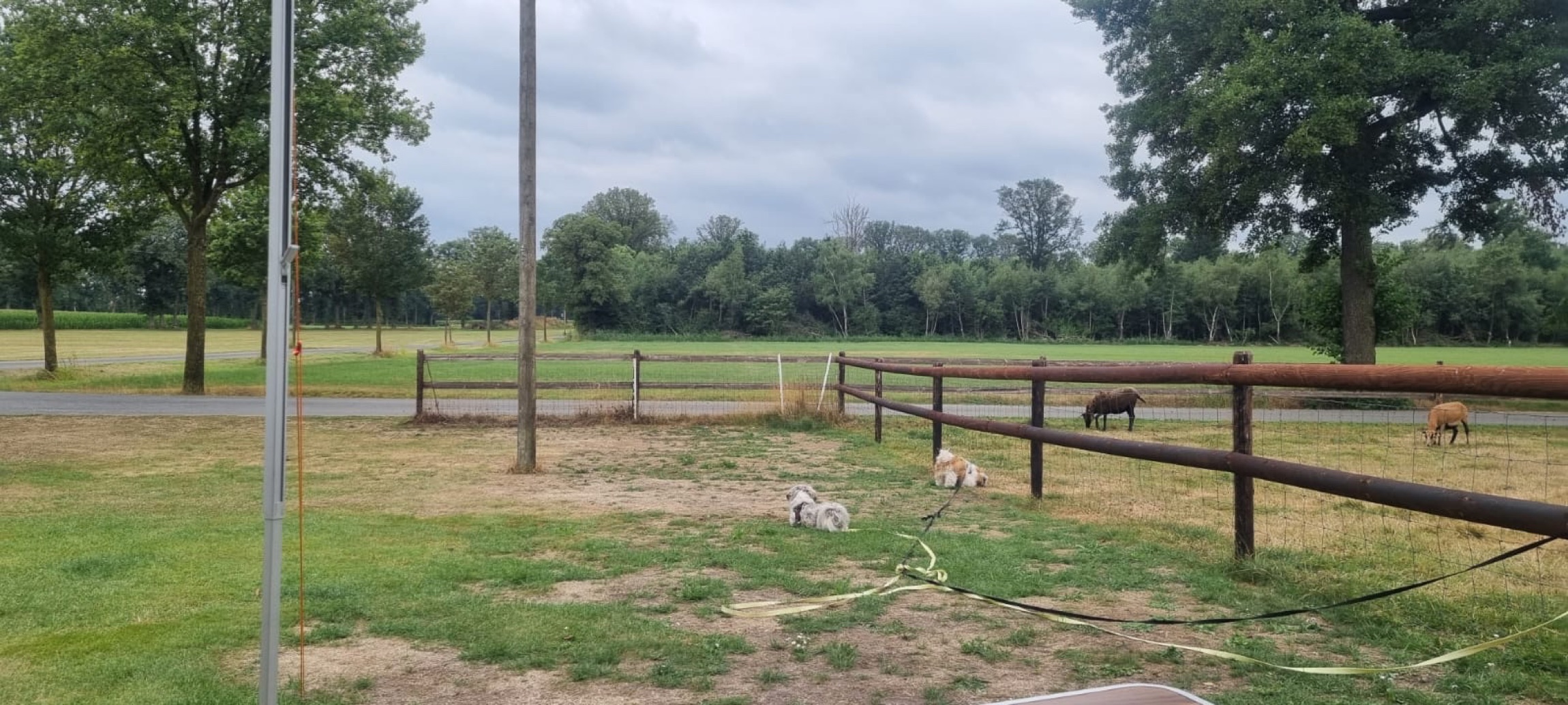 Wohnmobilstellplatz in Südlohn-Oeding auf dem Hof Wameling — Photo 2
