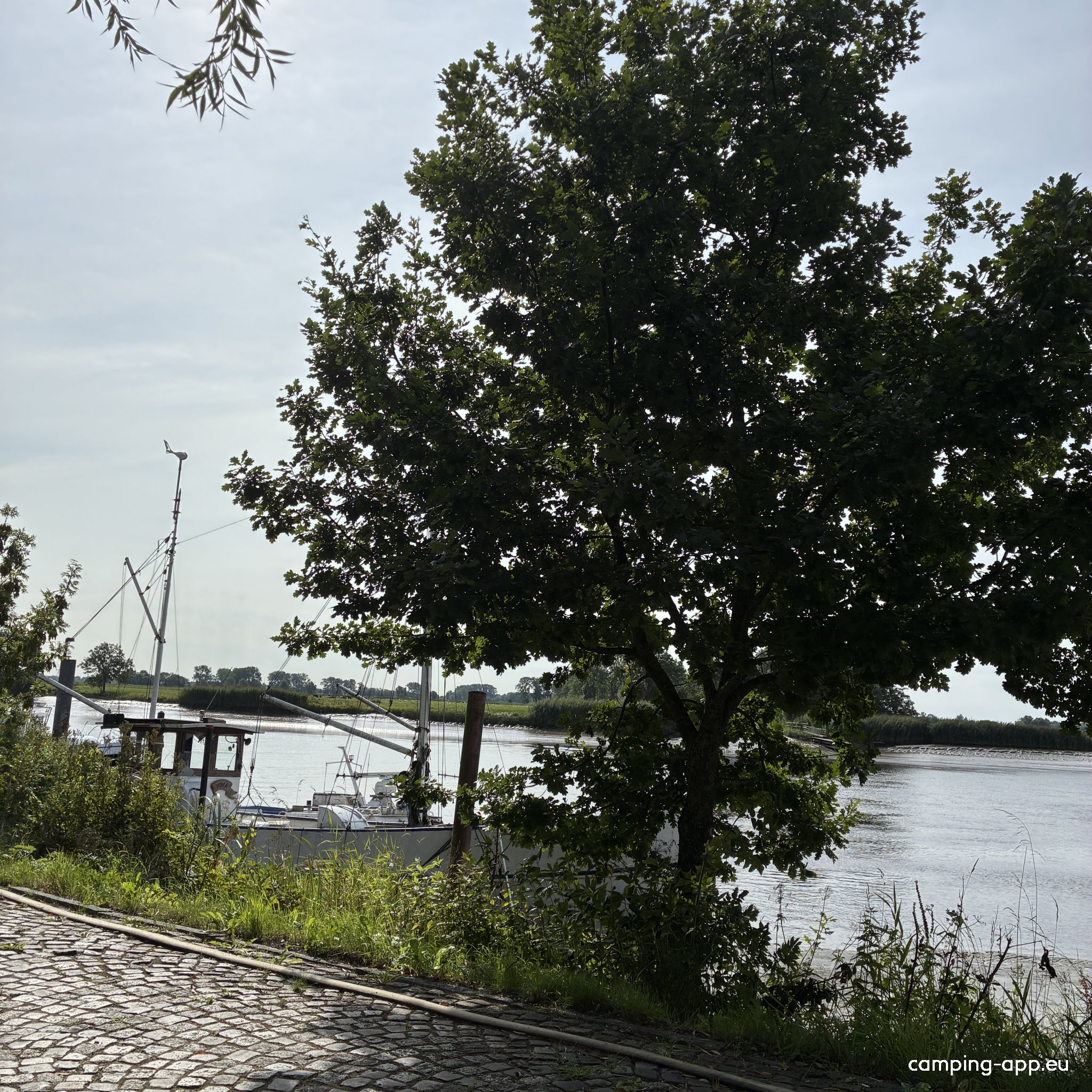 Sportboothafen Wewelsfleth — Photo 5